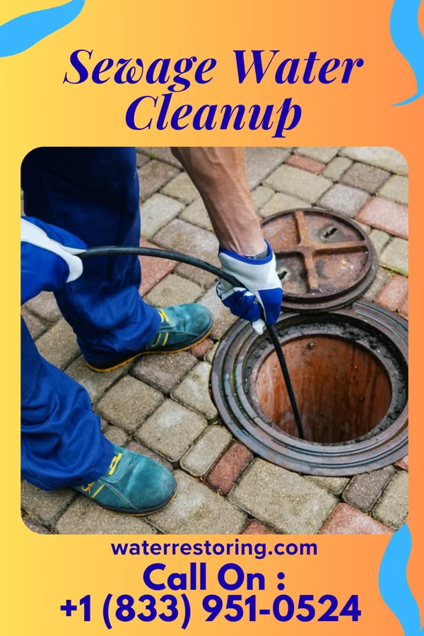 Sewage Water Cleanup in Campbell, FL